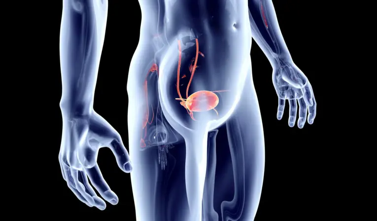 Depositphotos_23508319_L